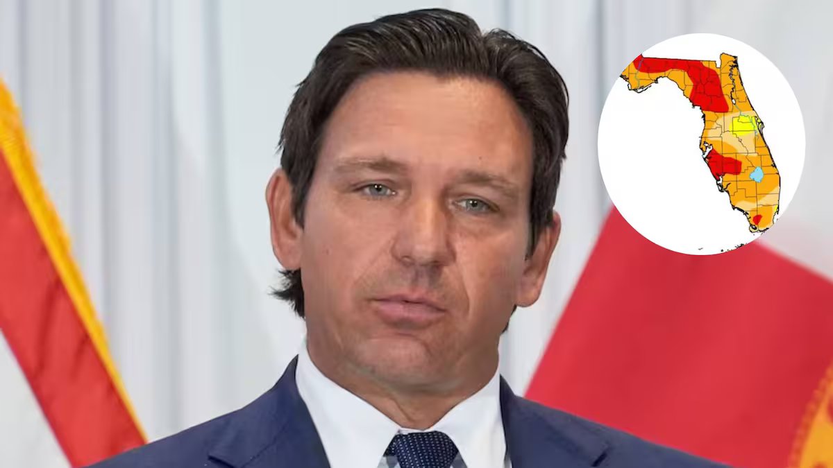 Notícias da Flórida hoje, ao vivo. “zonas de desastre natural” estão se expandindo e mais produtores poderão reivindicar créditos