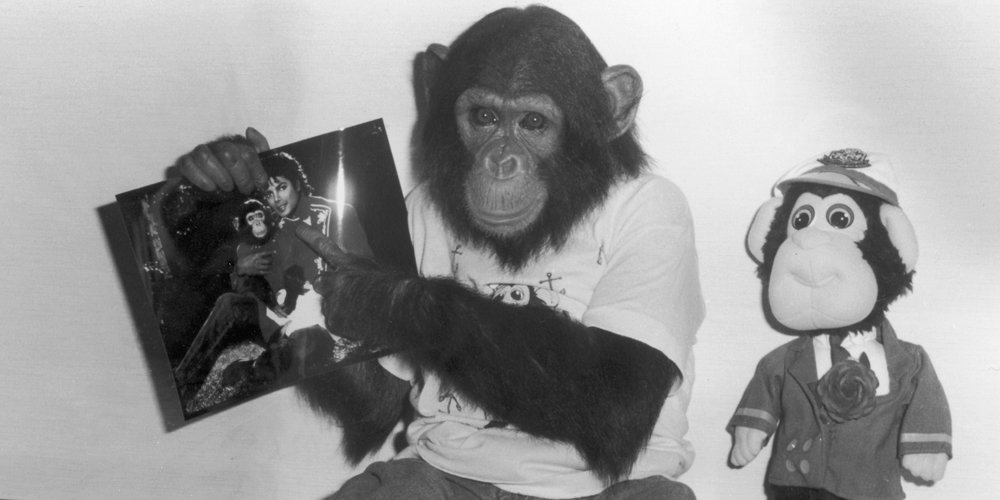 O que aconteceu com as verdadeiras bolhas de chimpanzé de Michael Jackson? | Bolhas, Michael Jackson | Notícias e fofocas sobre celebridades | Entretenimento, fotos e vídeos