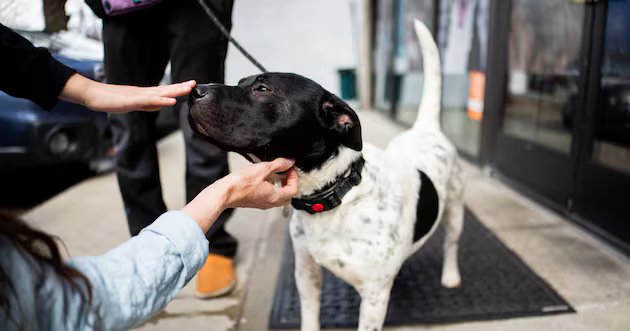 O que você pode fazer para pagar – Deseret News
