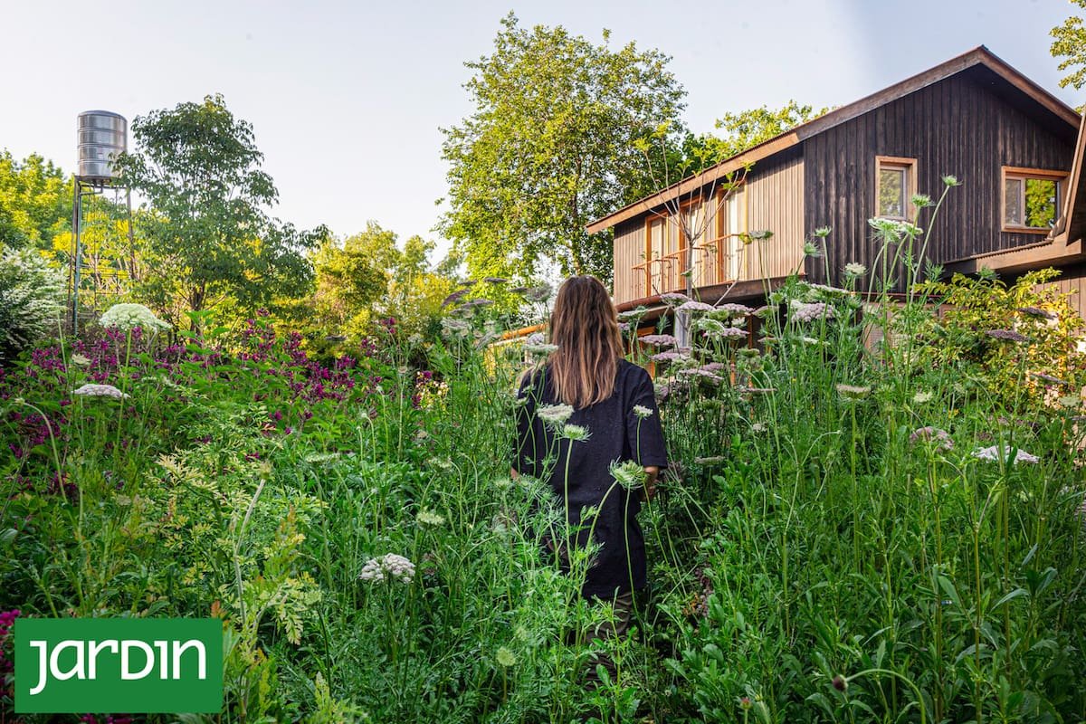 O segredo do jardim natural. por que os paisagistas o projetam para que pareça espontâneo?