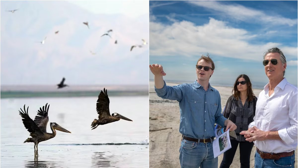 Oficial na Califórnia. o estado tem sua primeira reserva natural em 15 anos