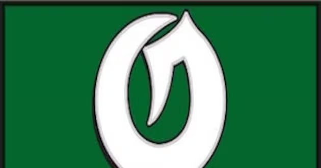 Olympus cruza para vitória por 3 sets sobre Brighton – Deseret News