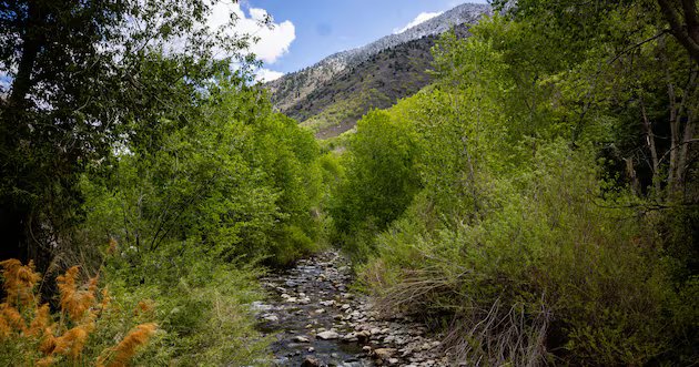 Os líderes de Utah estão se preparando para o impacto de uma queda de neve mínima – Deseret News