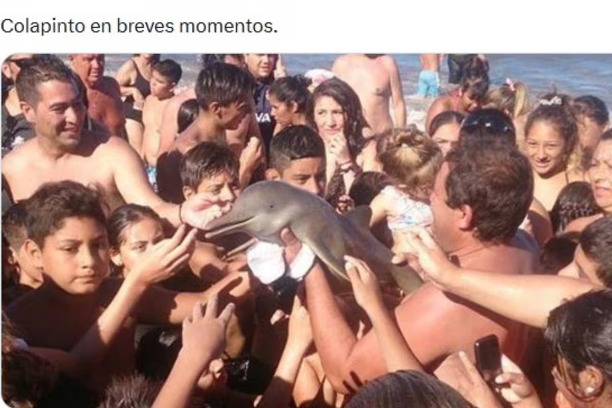 Os melhores memes e reações da exposição de Franco Colapinto