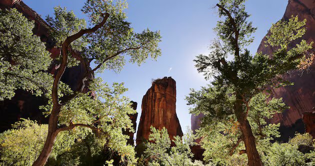 Overtourism nos Parques Nacionais de Utah – Deseret News