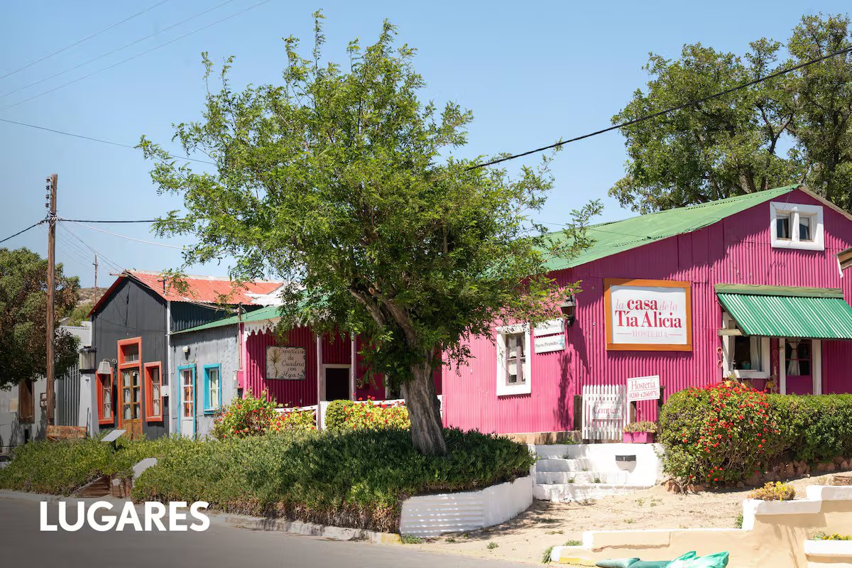 Patagônia. uma pequena cidade com vista para o mar que emergiu das salinas e convida você a ver as baleias