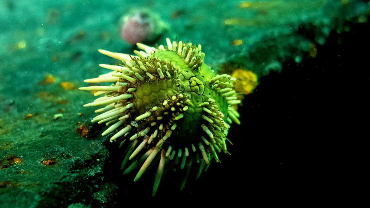 Quando a ciência deixa de ser abstrata e se torna urgente