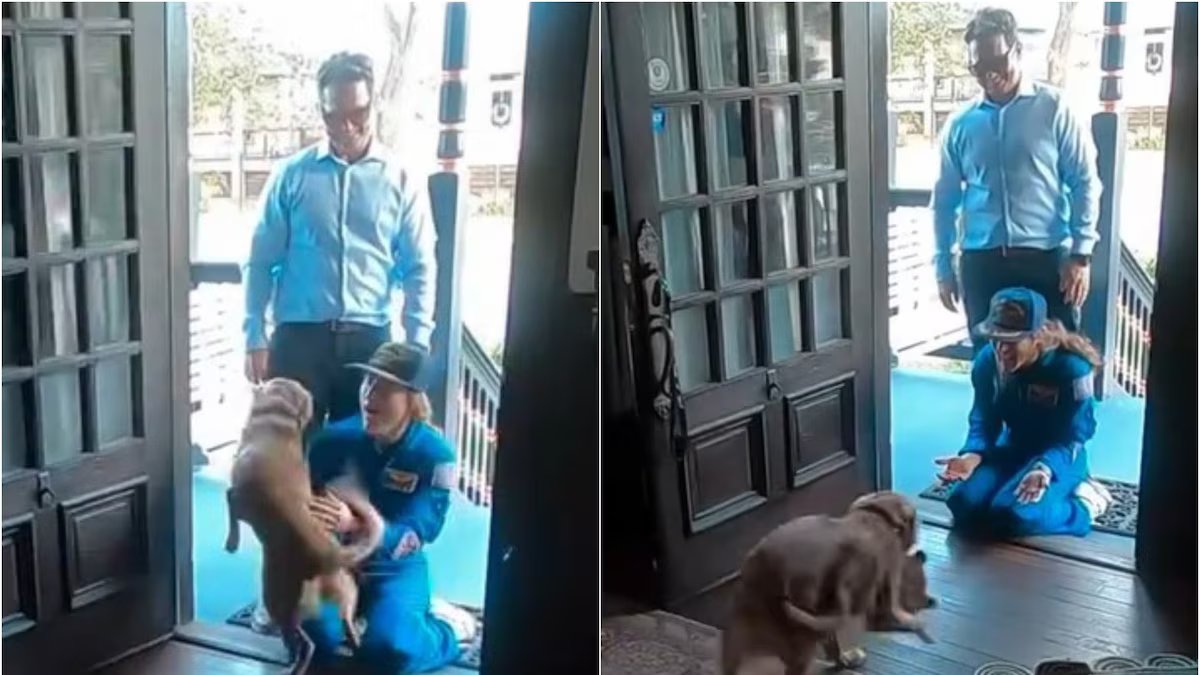 Reunindo a astronauta Christina Koch com seu cachorro após a missão Artemis II