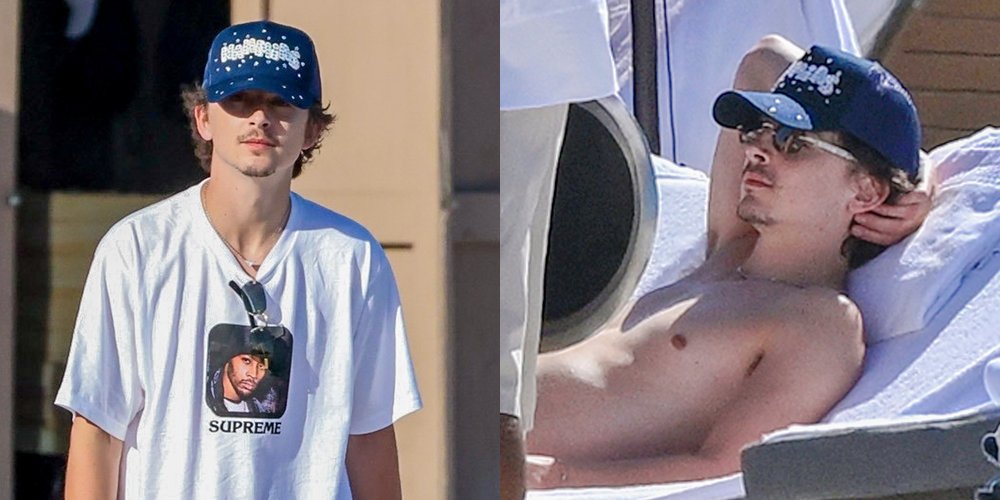 Timothee Chalamet descansa sem camisa na praia durante uma tarde fria em Miami | Sem camisa, Timothée Chalamet | Notícias e fofocas sobre celebridades | Entretenimento, fotos e vídeos