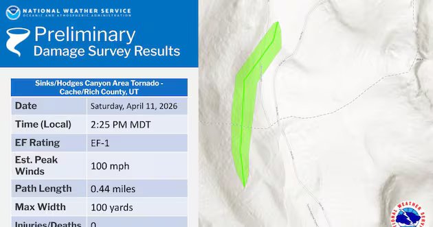 Tornado raro supostamente quebra árvores após pousar no norte de Utah – Deseret News