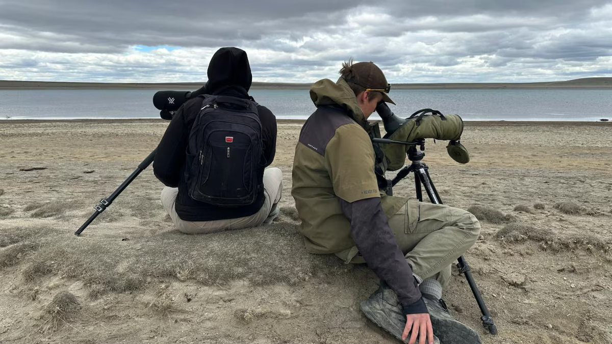 Um acordo de “coexistência” sem precedentes permitirá a protecção de uma das aves mais ameaçadas.