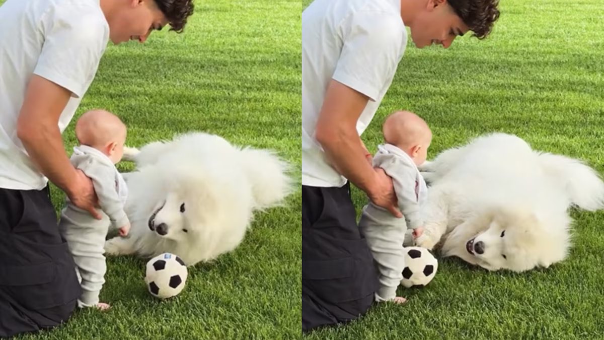 Vídeo de Julián Alvarez com o filho Amadeo e o pet derretendo nas redes sociais