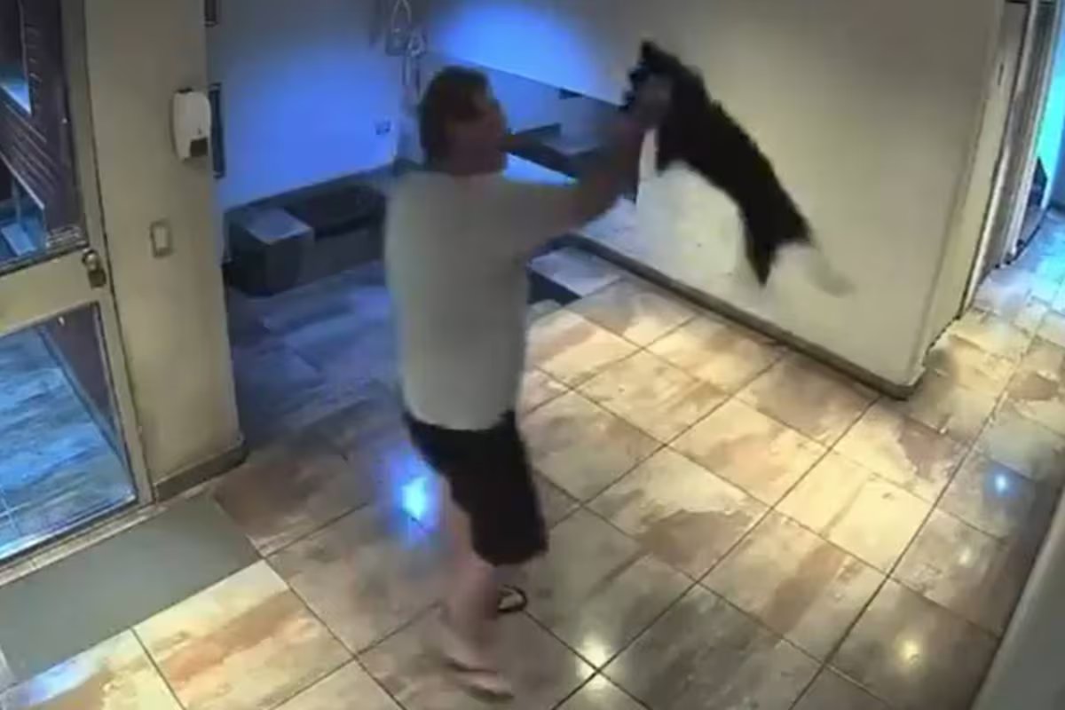 Vídeo: ele saiu com o cachorro até o saguão do prédio Palermo e rolou no chão