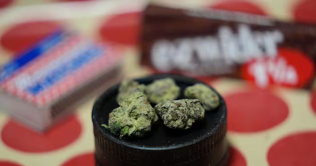 2 mitos sobre a cannabis estão sendo revelados diante dos nossos olhos