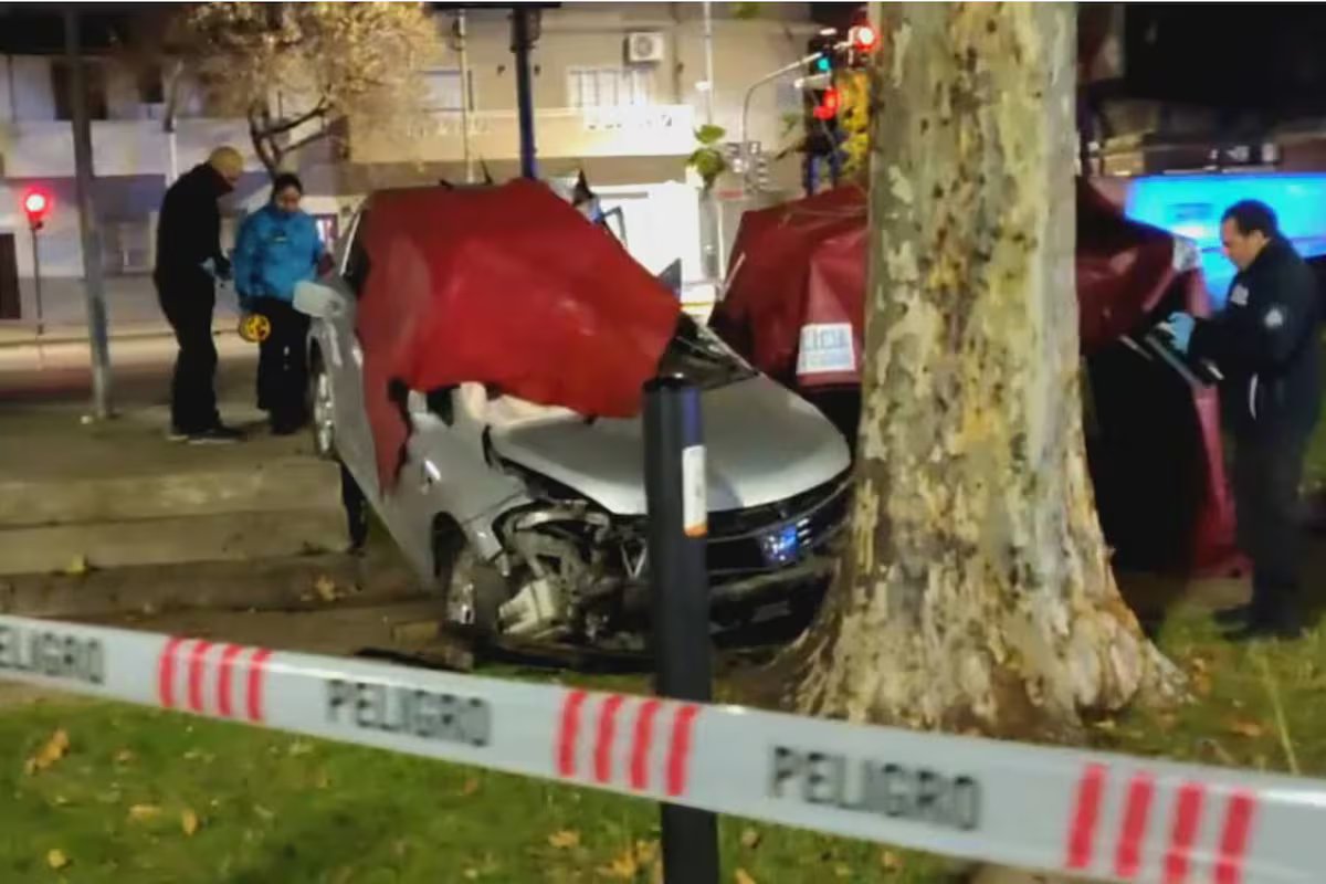 A mulher perdeu o controle do carro e bateu em uma árvore. ele morreu no local