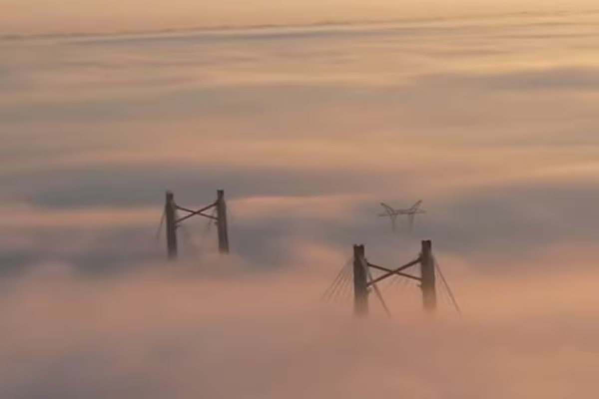 Alerta roxo para neblina