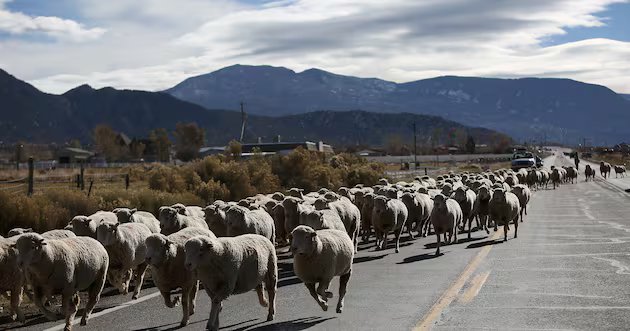 Aqui estão os lugares mais acessíveis para se viver em Intermountain West – Deseret News