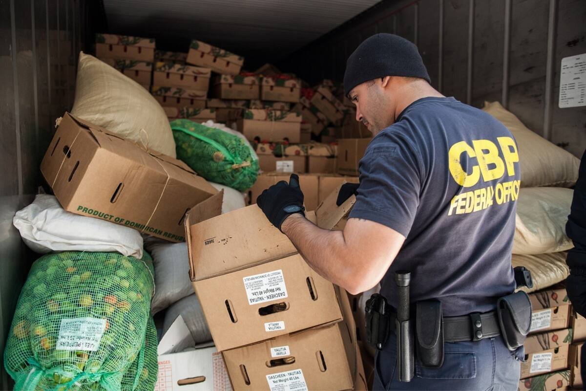 CBP encontrou sacolas luxuosas para animais de estimação no aeroporto de Nova Jersey