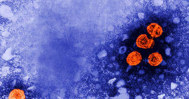 Cientistas fazem descoberta para curar a hepatite B crônica – Deseret News