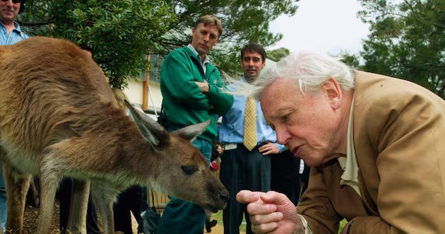 David Attenborough comemora um século de vida – Deseret News