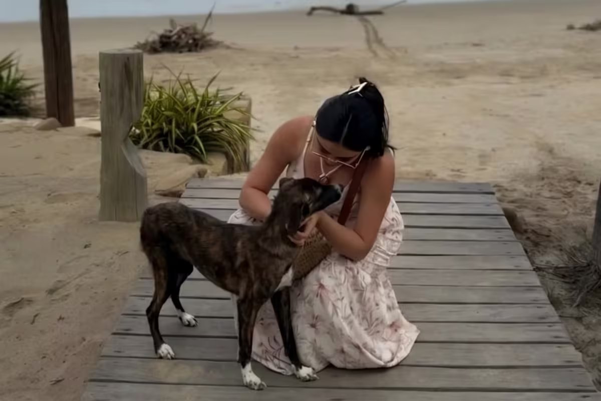 Durante as férias, conheceu um cachorro e quis ajudá-lo, mas quando foi procurá-lo, ele havia sumido. “É fácil ignorar o sofrimento dos outros.”