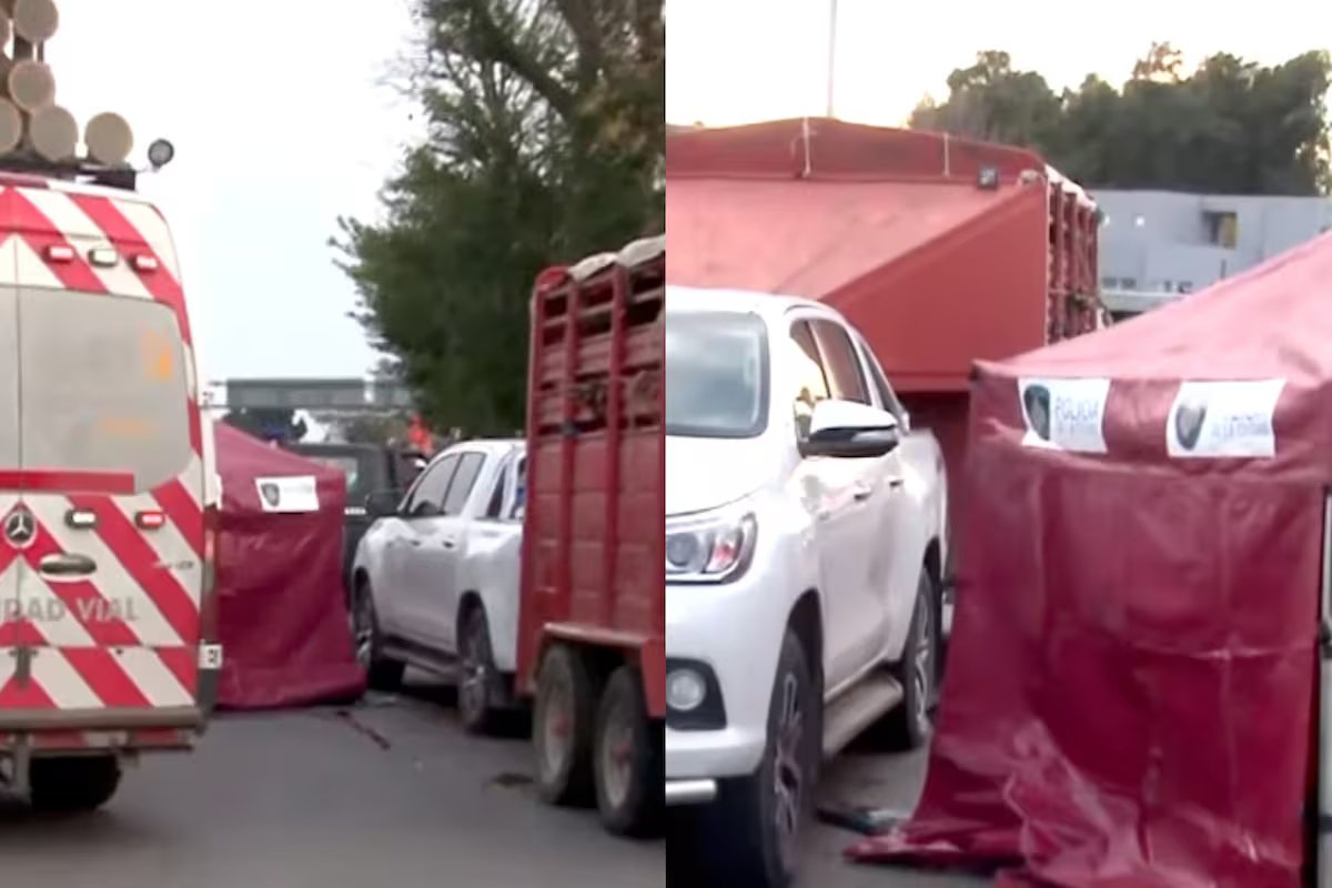 Ele saiu do caminhão devido a um problema no volante em Perito Moreno e bateu. morreu