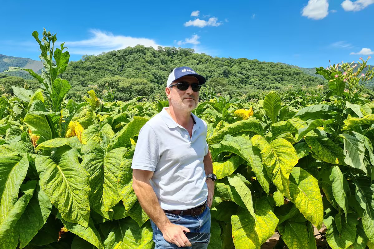 Eles denunciam que o contrabando de tabaco está perturbando o negócio do tabaco