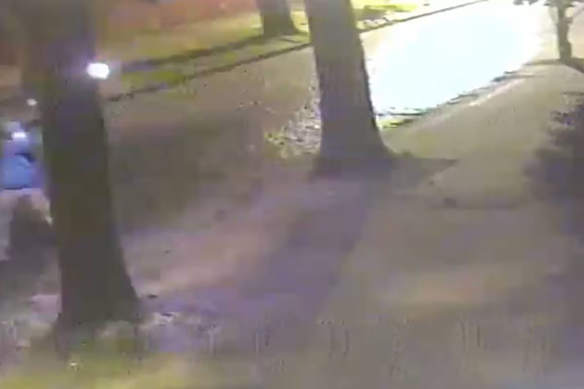 Eles prenderam um suspeito que portava uma arma e um coquetel molotov. ele estaria por trás dos ataques antissemitas.