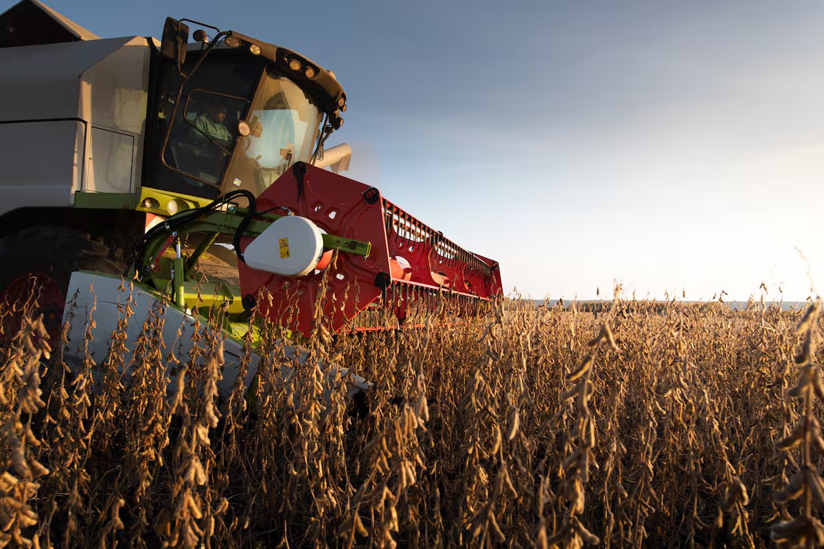 Em Abril, as exportações agrícolas representariam 2,4 mil milhões de dólares e a liquidação aceleraria com a colheita.