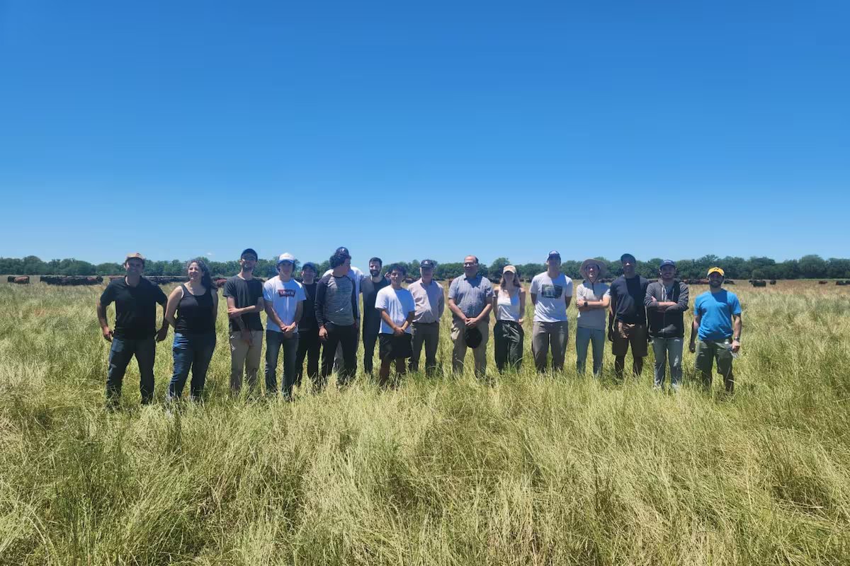 Formação em agronegócio. instituto lança certificação avançada