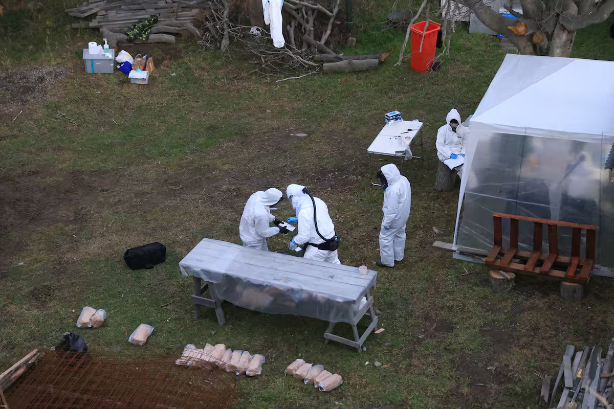 Hantavírus. Em Ushuaia, a busca de Malbran acabou e não encontraram a chave da transmissão entre humanos