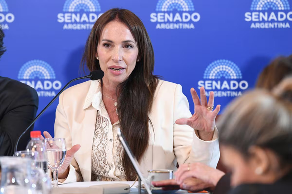 O Senado. O governo vetou a promoção de uma candidata a juíza por ser irmã de um jornalista de investigação do partido no poder.