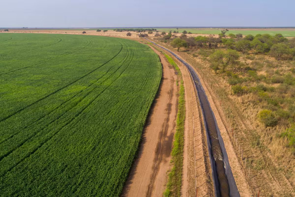 O empresário revolucionou a produção de duas províncias e administra 30 mil hectares