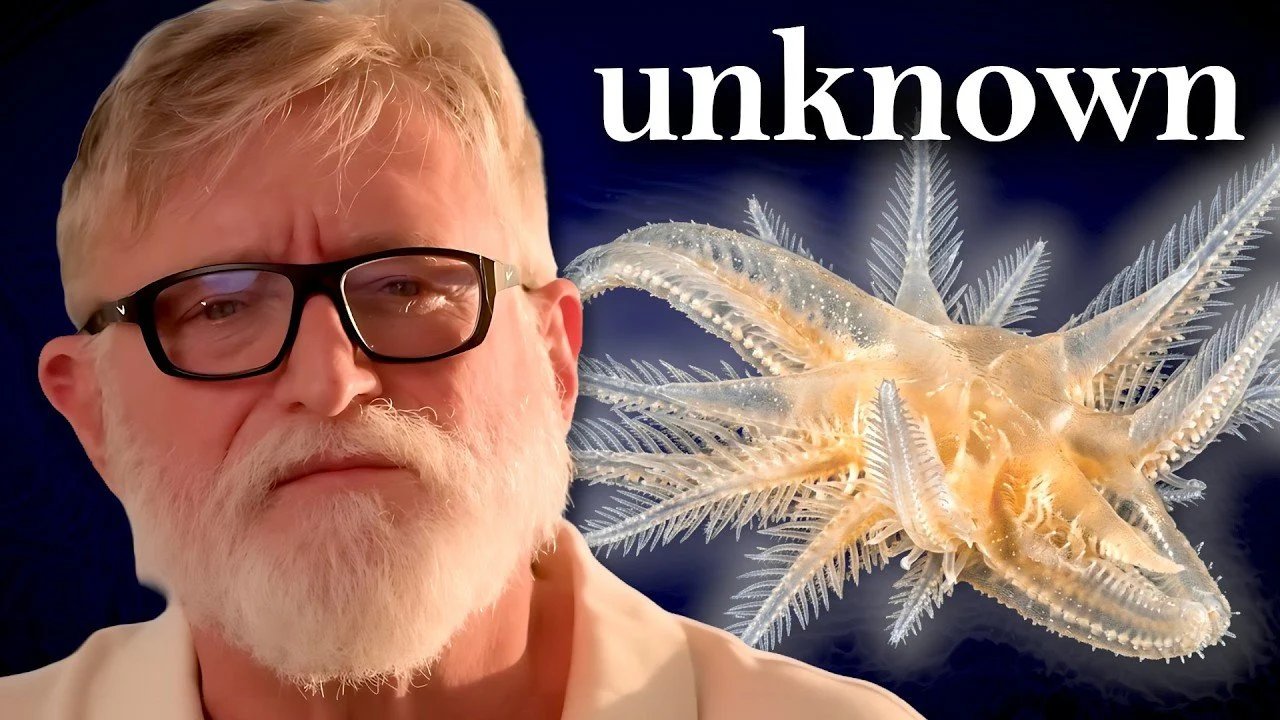 O submarino de Gabe Newell revela espécies desconhecidas na Zona Hadal