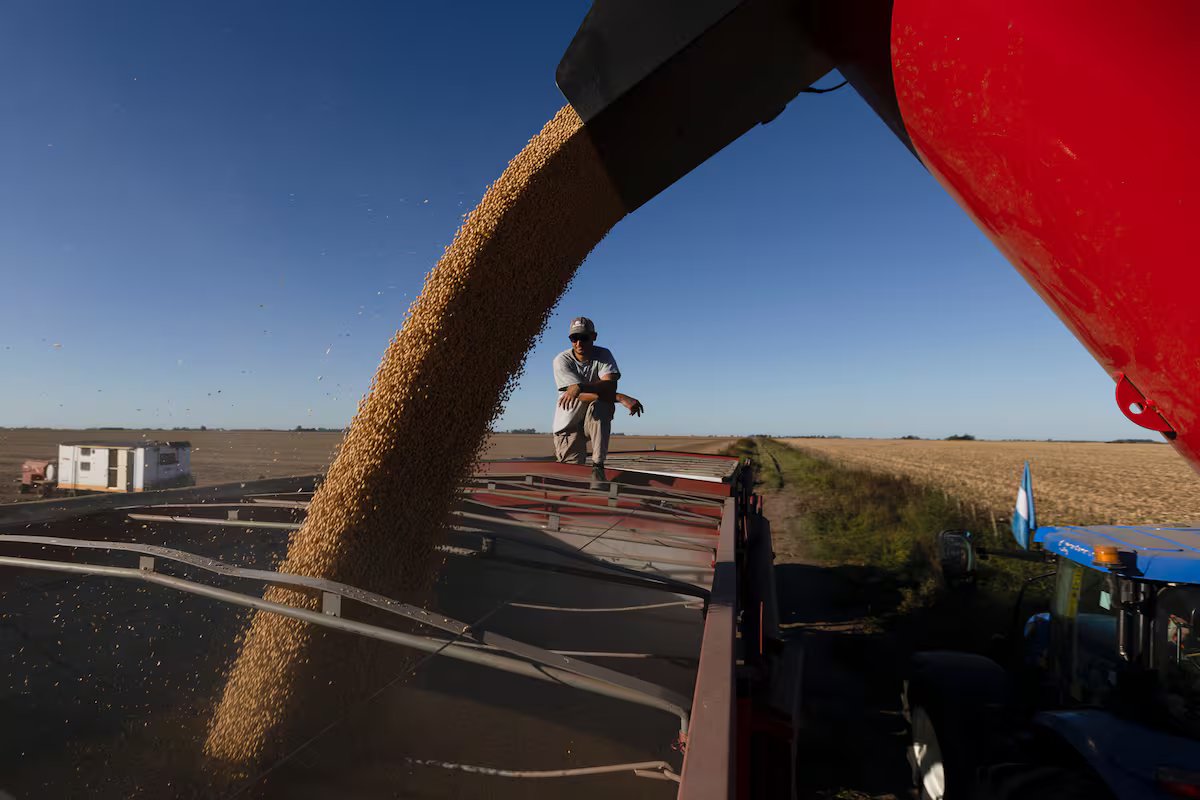 Opinião: a irrigação é promovida com destaque pela RIMI