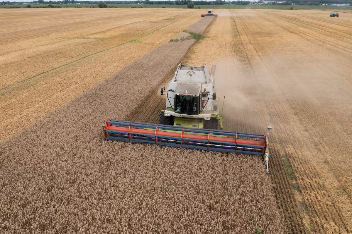 Opinião: existe uma oportunidade e é aproveitá-la com a agricultura
