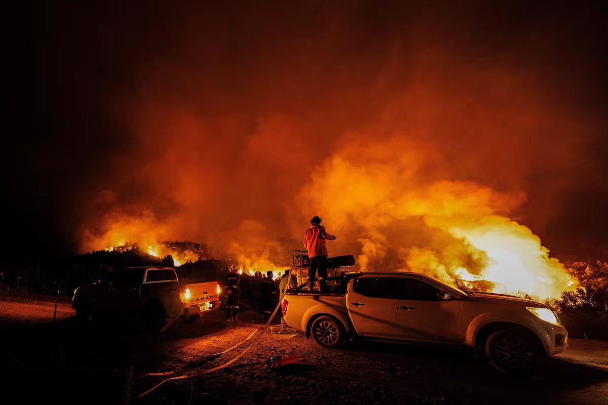Quanto custam os incêndios florestais na Patagônia? As conclusões alarmantes dos dois especialistas que fizeram o cálculo