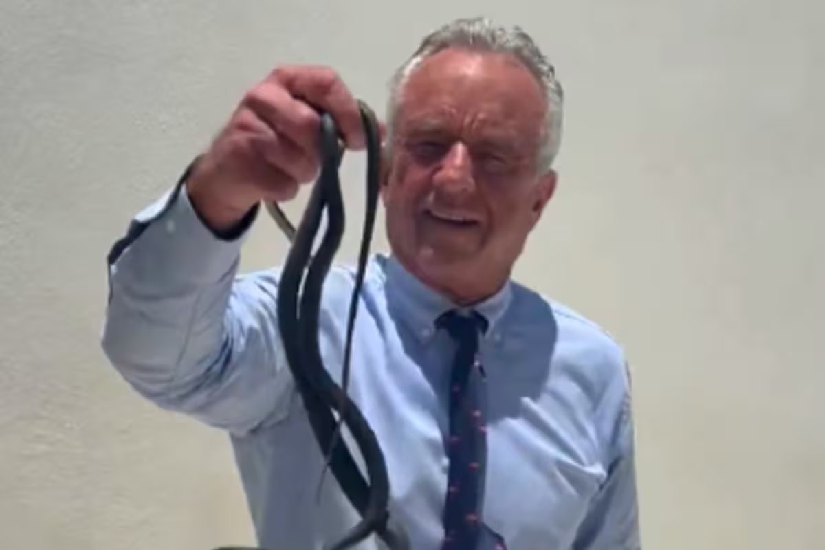 Robert F. Kennedy Jr. foi filmado lidando com duas cobras em seu quintal e o vídeo se tornou viral