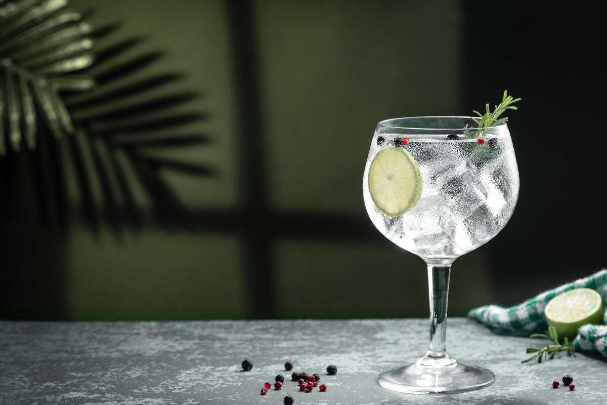 World Gin Awards 2026: quais argentinos ganharam medalhas e quando serão anunciados os melhores do mundo?