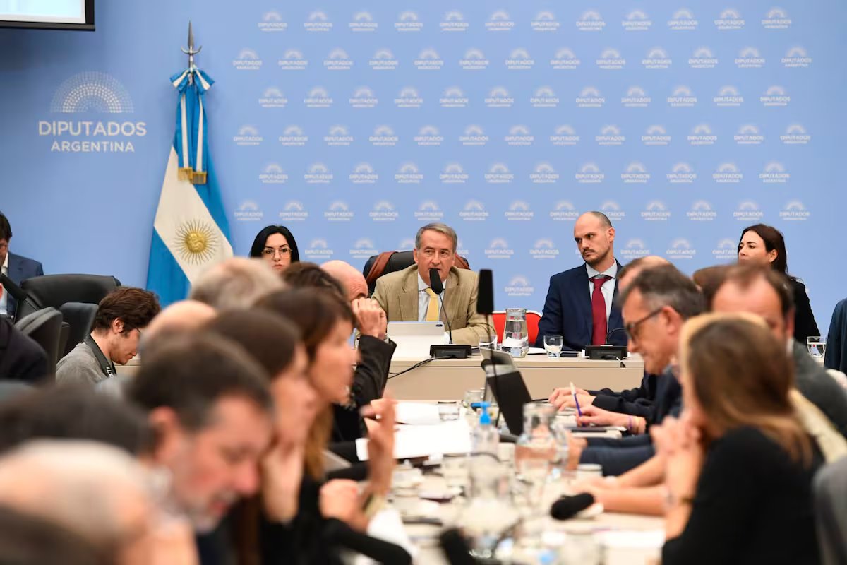 Ampla rejeição ao projeto de lobby de Milei. críticas de ONGs, advogados e câmaras empresariais