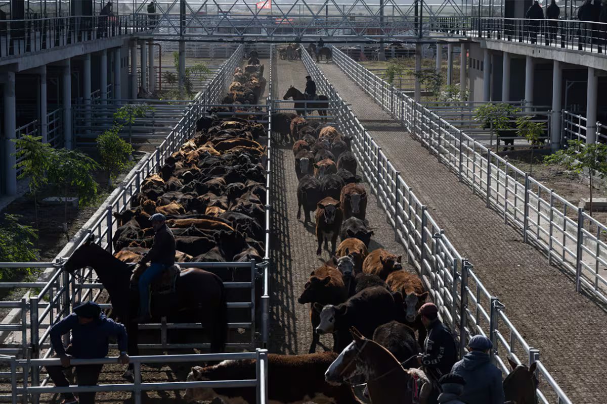 Começar a semana com altos e baixos no Mercado Agrícola de Canuelas