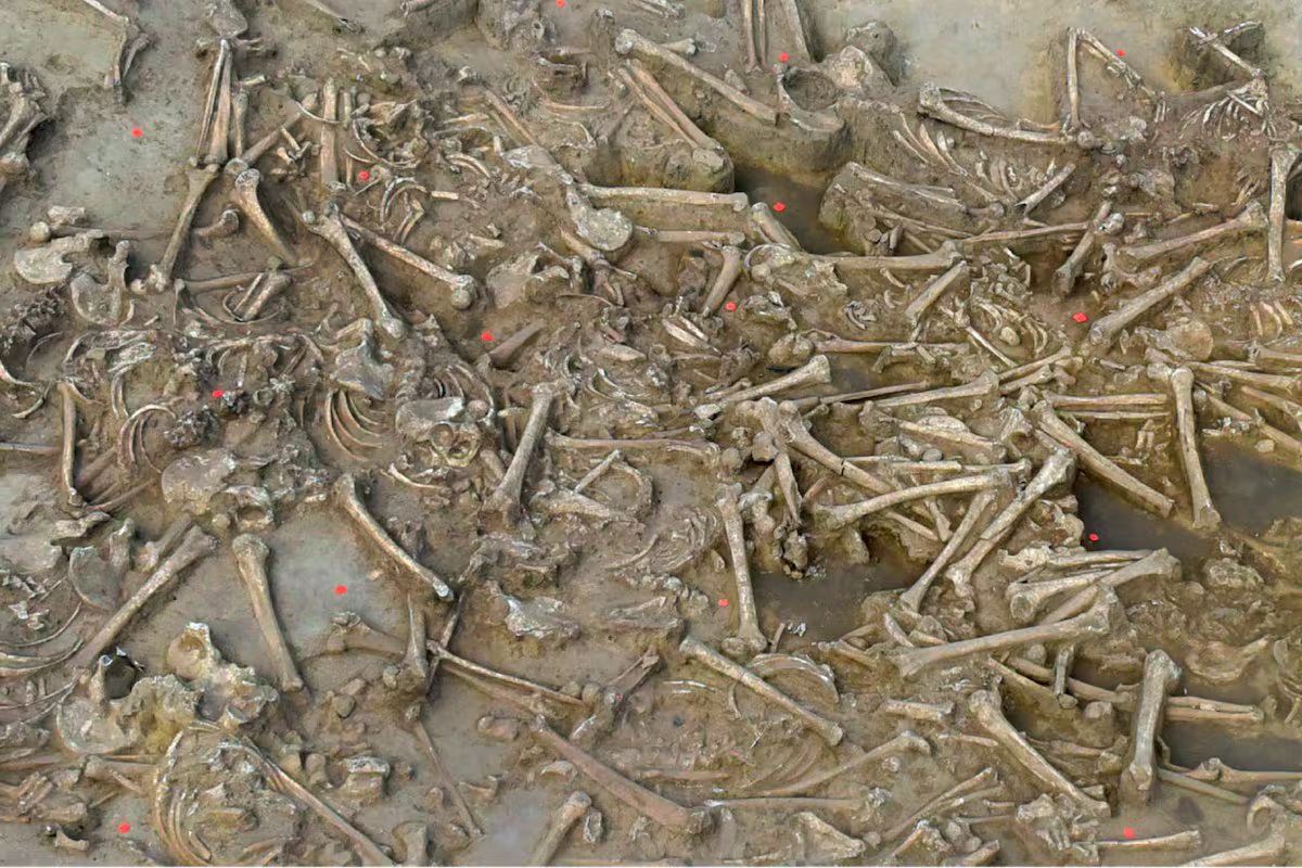 Eles encontram uma vala comum de 7.000 anos com dezenas de esqueletos humanos sem cabeça. “Seus crânios são arqueologicamente invisíveis”
