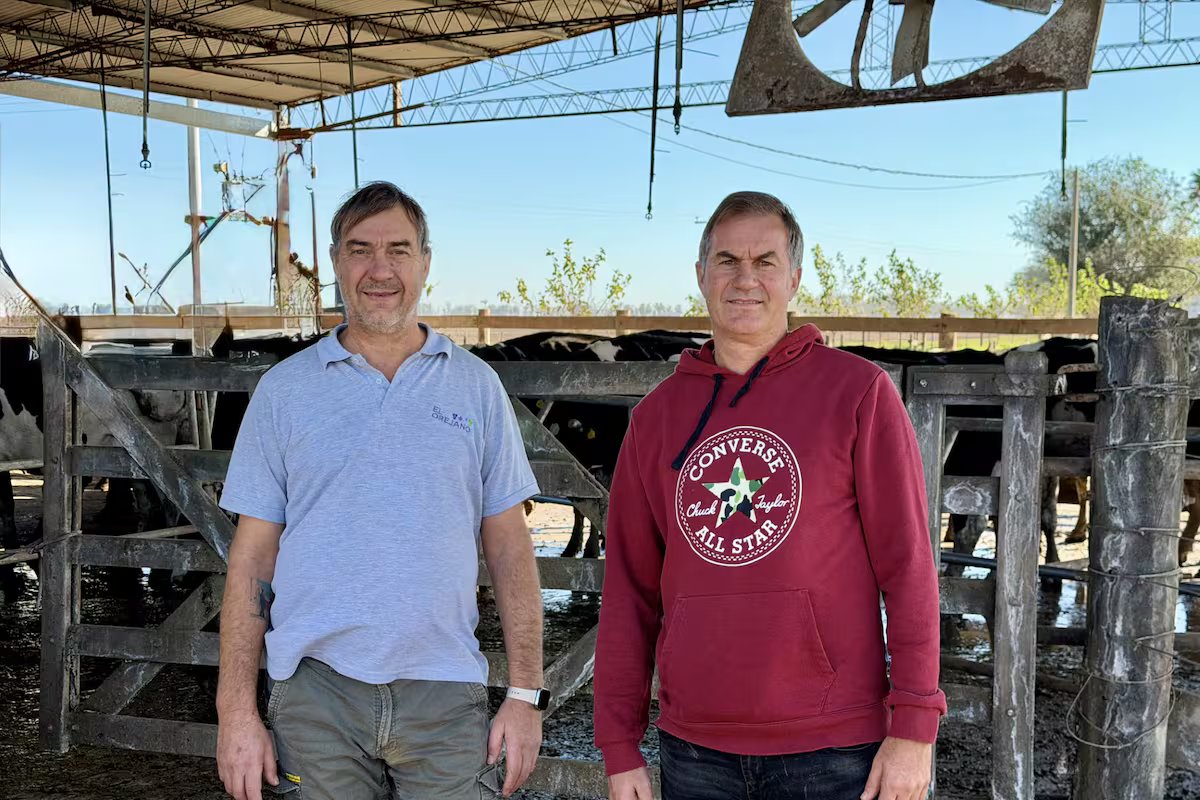 “Não foi suficiente para sustentar três famílias.” a decisão drástica que transformou a fazenda leiteira em outra coisa