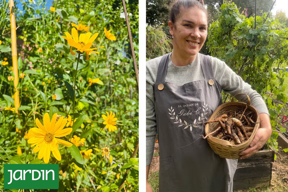 O ingrediente mais desejado de um chef, com um nome raro e fácil de cultivar, você pode ter no seu jardim