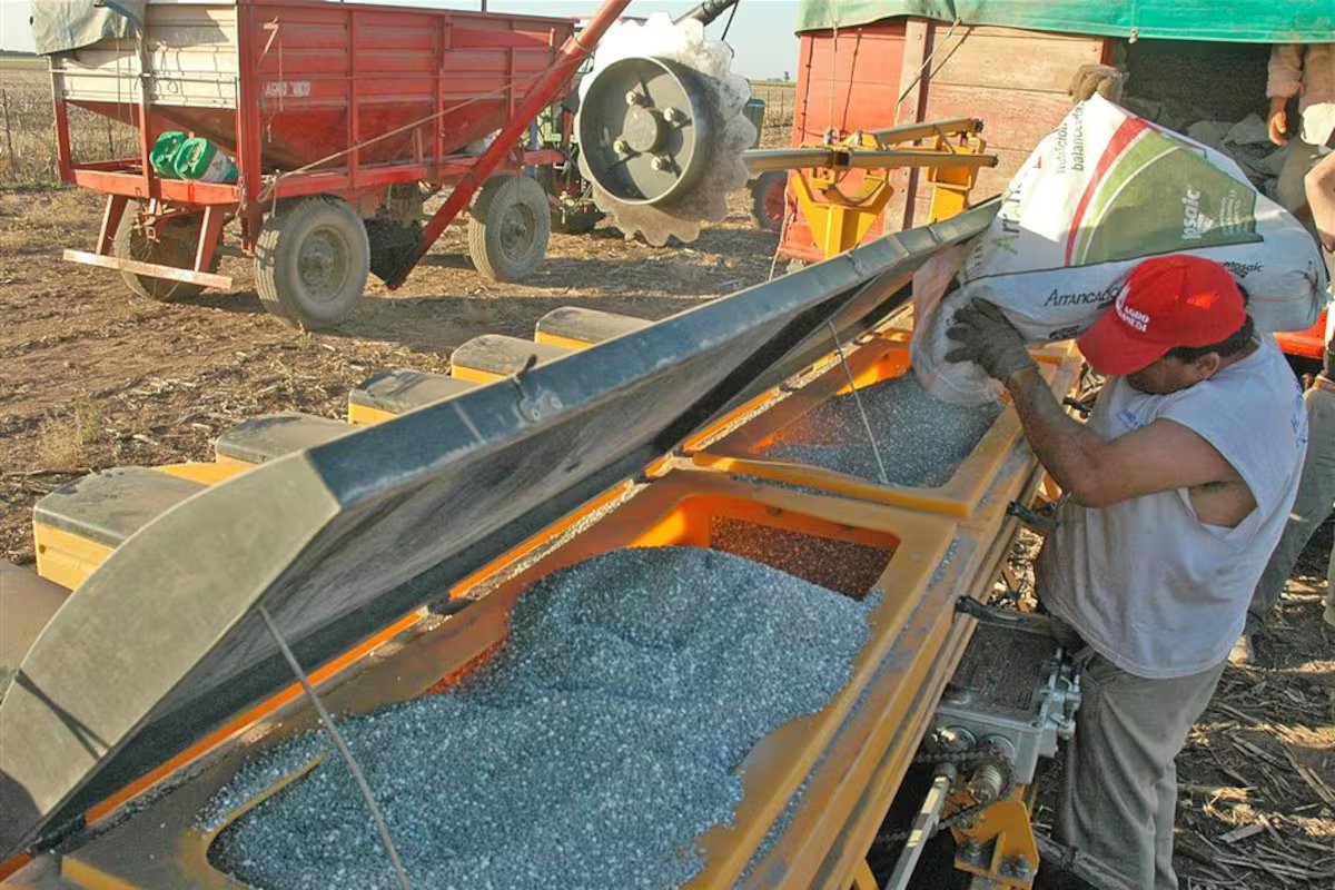 “O pior em substituição.” alertam para a perda de fertilidade do solo e apresentam projeto para promover investimentos em fertilizantes;